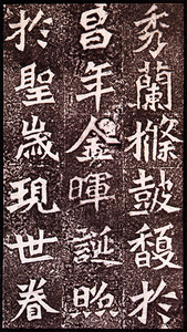 原色法帖選 30：龍門造像記［北魏／楷書／精拓／始平公・孫秋生・楊大眼・魏霊蔵］ - 株式会社二玄社