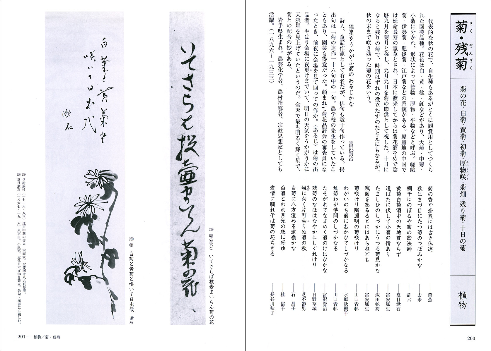 D30334＞ 正木風状 痛 肉筆発句短冊／江戸時代中期の俳人 売買されたオークション情報 落札价格 【au  payマーケット】の商品情報をアーカイブ公開