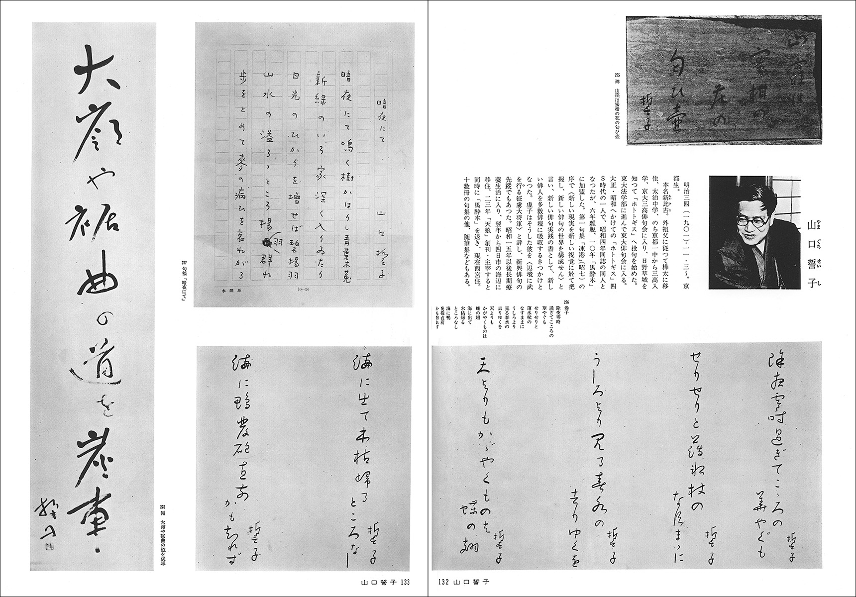 文士の筆跡 5：俳人篇 - 株式会社二玄社