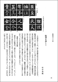 中国法書ガイド 24：高貞碑［北魏］